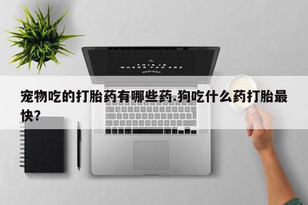 堕胎药药店购买微信联系方式宠物吃的打胎药有哪些药.狗吃什么药打胎最快？
