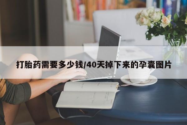 堕胎药药店购买微信联系方式打胎药需要多少钱/40天掉下来的孕囊图片